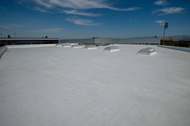 Best Skylight Installation and Repair  in Lake Lotawana, MO