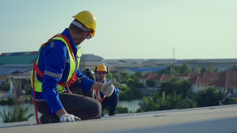 Best Solar Panel Roofing Installation  in Lake Lotawana, MO