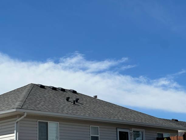 Best Metal Roofing Installation  in Lake Lotawana, MO